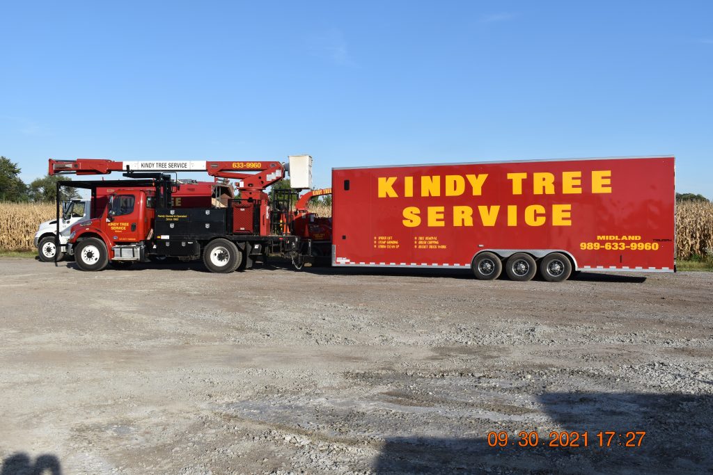 Kindy Tree Service